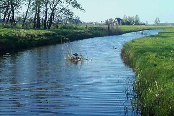 naast-de-tuin